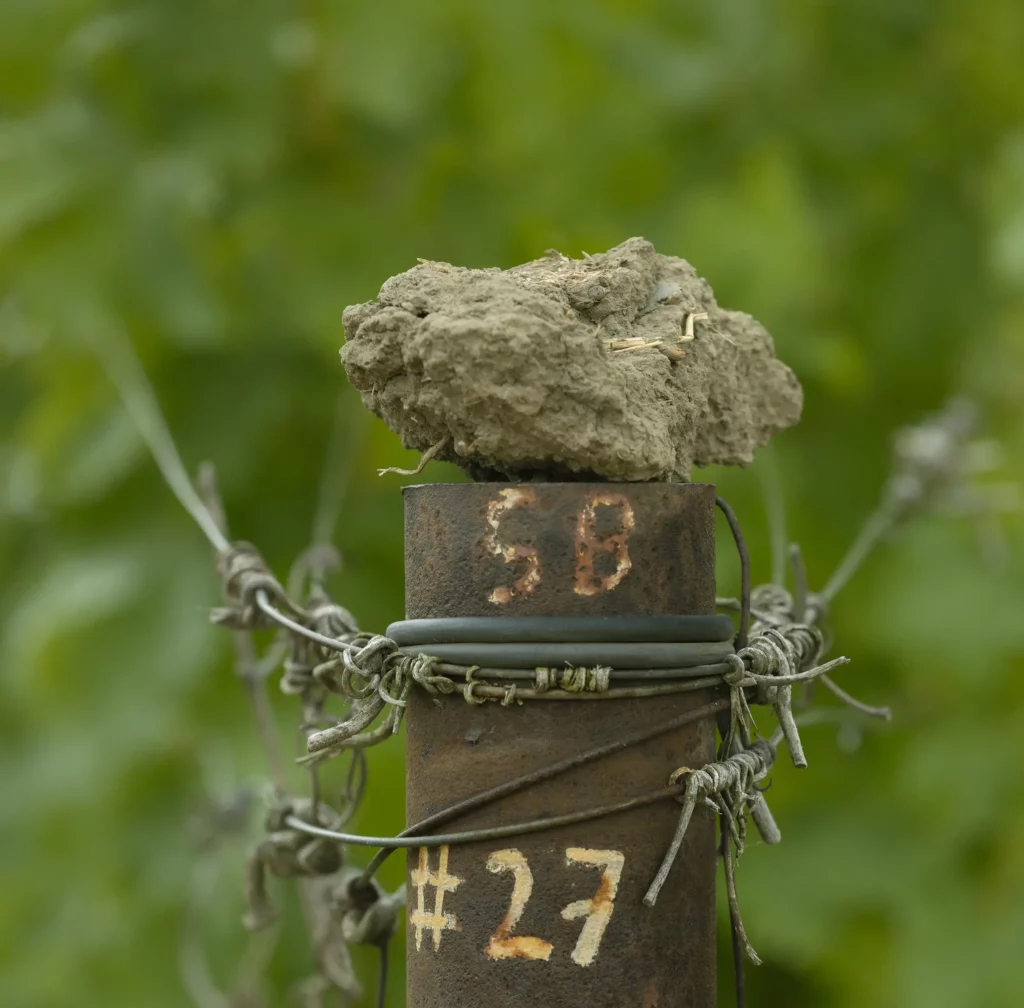 A rusted metal pole with barbed wire and numbers "58" and "27," topped by a clump of dirt, with a blurred green background.