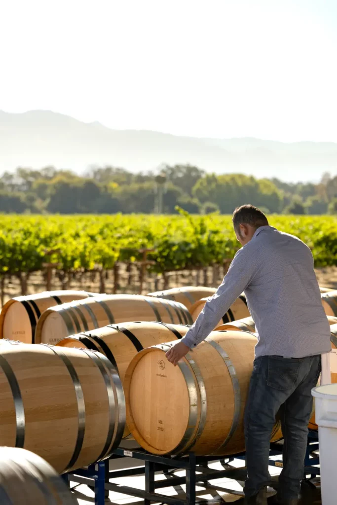 A person examines wooden barrels in a vineyard with green vines and mountains in the background.