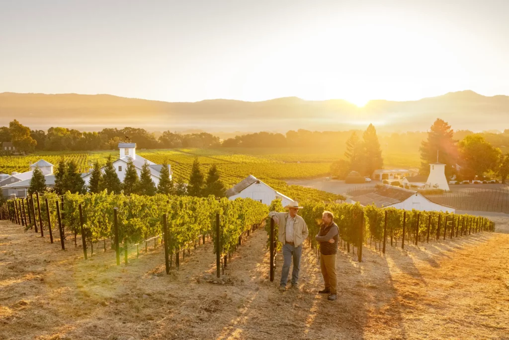 Tom Gamble & Philippe Melka in vineyard at sunset, with white barns behind them.