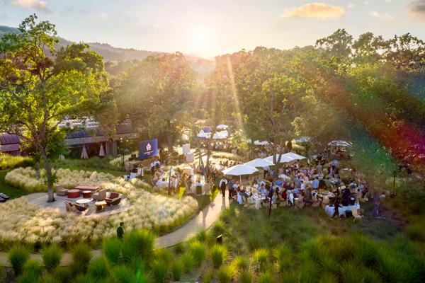 outdoor wine tasting in sun, on grass