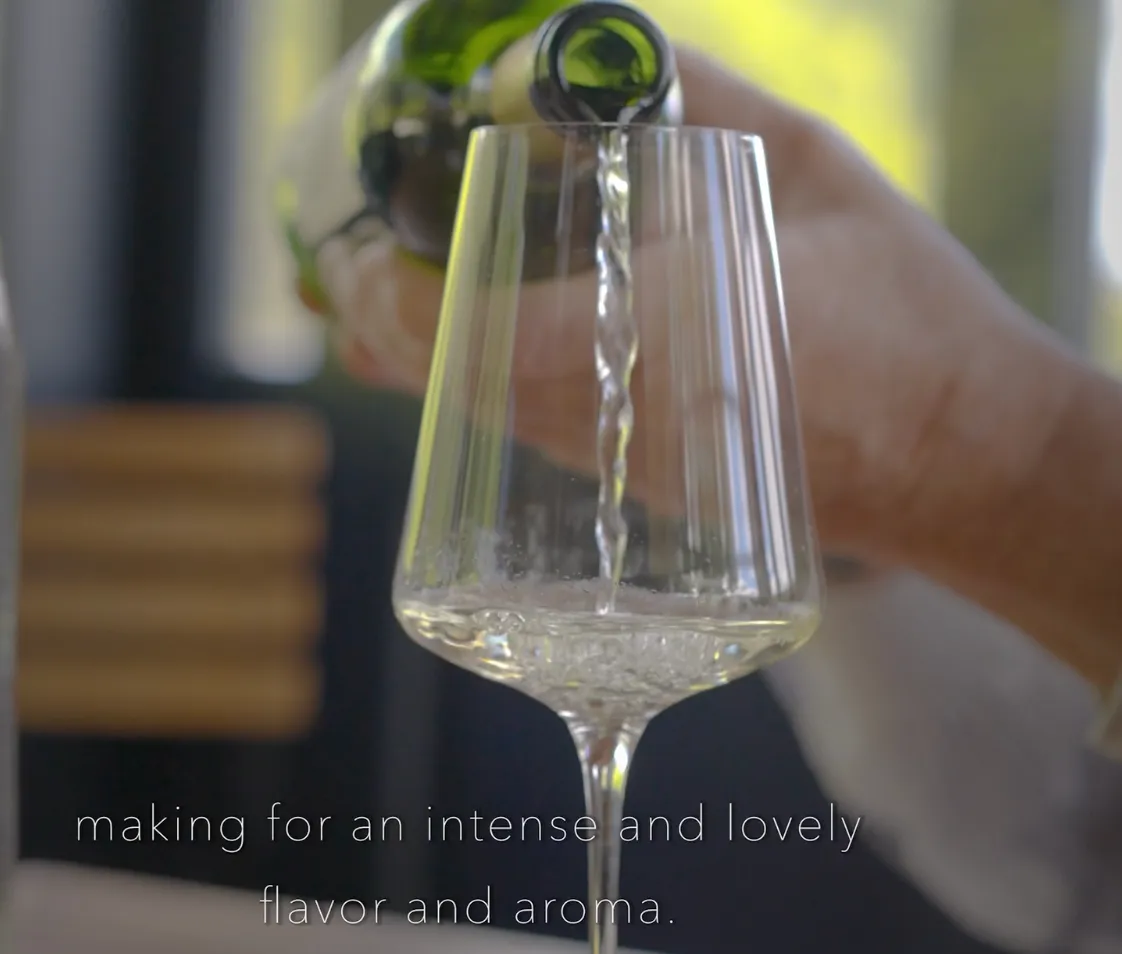Video: About Our Reserve Sauvignon Blanc
